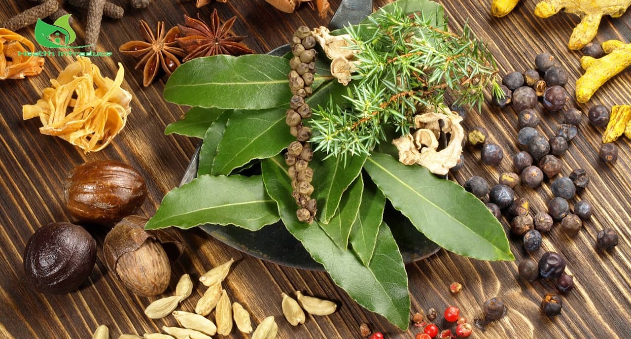 Herbs for Weight Gain - How to Add them in Your Diet?